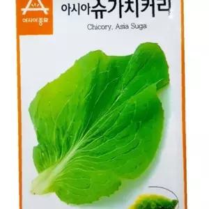 유어샵 슈가 샐러드용 종자 치커리 쌈용 단맛 씨앗 종묘