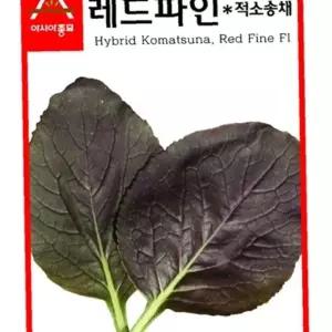 유어샵 레드파인 적자색 청경채 종묘 씨앗 종자 적소송채