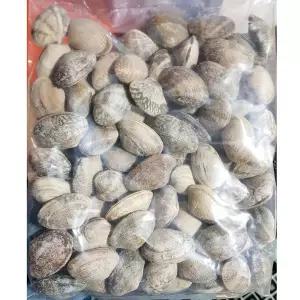 피바지락(600g)