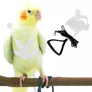 애완 앵무새 새 하네스 및 목줄 조절 가능한 훈련 디자인 물림 방지 위한 귀여운 날개가 달린 나일론 로프