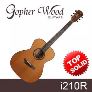 고퍼우드 i210R 탑솔리드 통기타