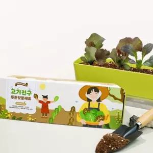 (다올)식물재배기 상추키우기 텃밭 씨앗 화분 세트