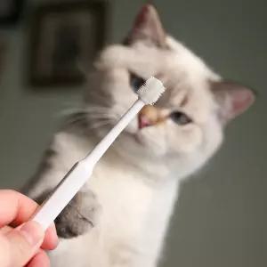 칫솔 PET 강아지 고양이 양치 치석제거 360도 반려동물 용품