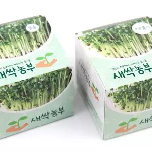 새싹농부 무순 브로콜리 6개 새싹기르기