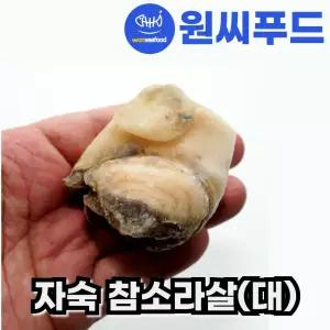 자숙 참소라살 대 실중량 800g IQF 냉동 피뿔고동살 자숙소라 피뿔고둥살 통참소라