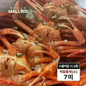 [수율미달시 교환가능]제철 깊은바다 울릉도 독도 붉은대게 속초 최상급 박달홍게 소 2kg (7미)