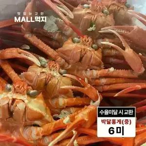 [수율미달시 교환가능]제철 깊은바다 울릉도 독도 붉은대게 속초 최상급 박달홍게 중 2kg (6미)