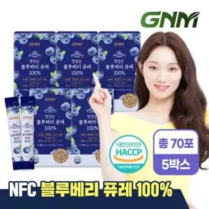 [총 70포] GNM 맛있는 NFC 블루베리 퓨레 100 14포 X 5박스 / 블루베리즙 주스