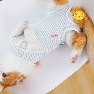 켈리몰 강아지 고양이 스프라이트 중성화복 수술복 화복 그루밍방지 환묘옷 견올인원 애의류 화의류 화옷