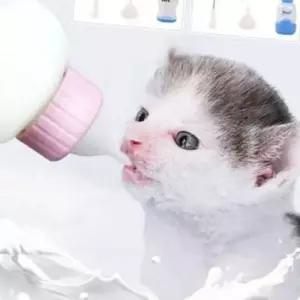 강아지 젖병 80-100ml 고양이 젖병 새끼 애완 반려동물 우유병 어린