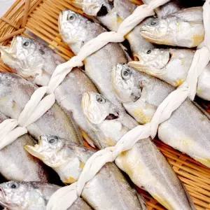 맛있는家 영광 법성포 굴비 선물세트 10미