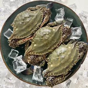 제철 꽃게 활 숫꽃게 1kg 가을 봄 숫꽃게 속이 꽉찬 꽃게 급냉 서해안 산지