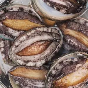 갤러리아 [산지직송]특대 완도 활전복 1kg(11-12미) 산소포장