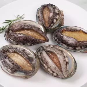 갤러리아 [산지직송]대사이즈 완도 활전복 1kg(13-14미)