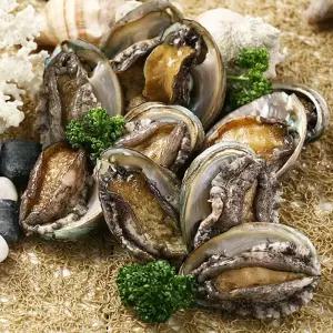 갤러리아 [청정바다엔] 완도 한입 꼬마전복 1kg 1팩 /50-60미 (완도직송,산소포