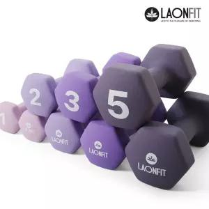 라온핏 아령 1kg 2kg 세트 육각 덤벨 홈트레이닝 헬스 근력운동
