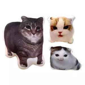 오이이아이 고양이 쿠션 OIIA 봉제 키링 인형