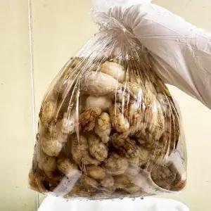 국내산 제철 생물 오만둥이 1kg 미더덕 오만디