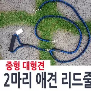 생활 트윈리드줄 커플애견줄 애견 두마리애견줄 수앤서B1