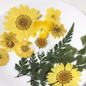 압화꽃 꽃송이 드라이 플라워 조화 DIY 책갈피 만들기 꽃갈피 압화 공예 누름꽃 식물