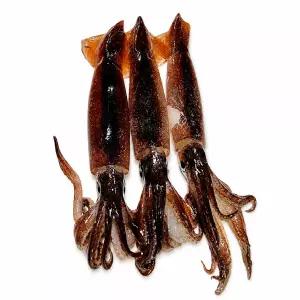 당일조업 자연산 태안 생물 활 오징어 1kg 2kg 3kg (kg 4-5미) [원산지:국산]