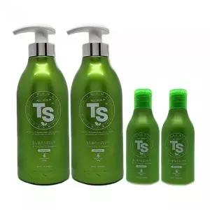 TS 올 뉴 플러스 샴푸 500g + 100g (휴대용) 탈모케어 2세트 Ss