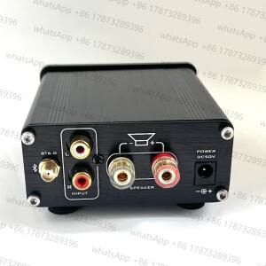 Leisheng GaN DSP 블루투스 6.0 앰프 순수 디지털 모노 300W 자동차 바이크 오토바이 홈 서브우퍼