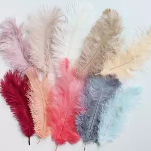 (올핀)타조 깃털 장식 인테리어 소품 10color 미니 깃 사진 촬영용