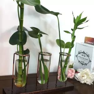 시험관-3P 황동 수공예 수경식물 장식 유리 꽃 화병 LW63FFEE 신혼부부선물 인테리어소품