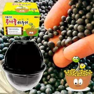 키트 콩나물키우기 재배기 국내산 가정용콩나물 - 집에서 국내산 재배기 콩나물키우기 키트