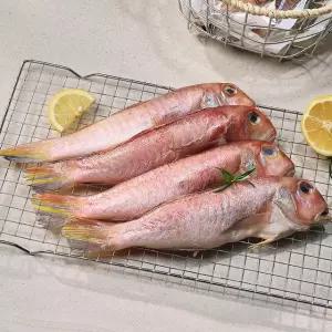 (산지직송) 제주 제철 반건조 옥돔 160g x 3마리