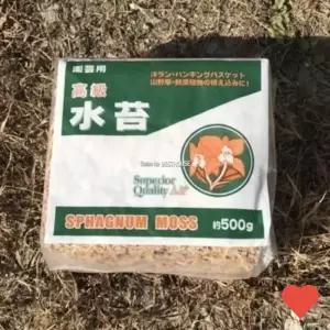 원예용품 이끼 토피어리 매트 건조 수태 500g