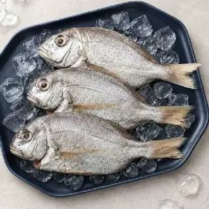 (단)국내산 반건조 참돔 250g * 6미