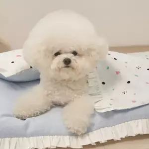 뭉밍 애착 담요 사계절 여름 강아지 이불 고양이 반려견 알러지 쿠션 방석