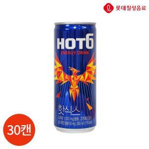 롯데 핫식스 250ml 30캔