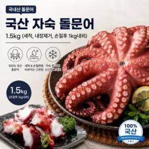 국산 자숙 돌문어 