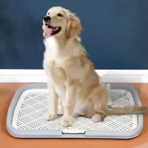강아지 반려견 소변 마킹 화장실 훈련 배변판 배변 매트