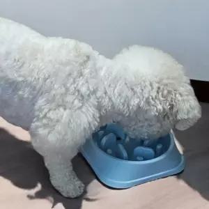 밥그릇 라이트컬러 강아지 강아지슬로우식기 고양이슬로우식기