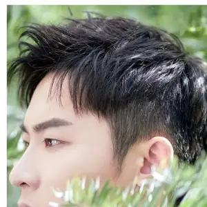 인모 투블럭 댄디컷 남자 가발 블랙 남성가발 짧은머리커버 LWEAD6D4 스타일링 군인