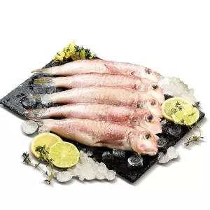 (팔)제주 제철 반건조 옥돔 160g 3마리