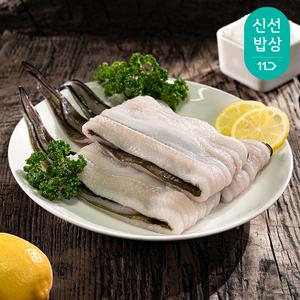 국내산 통영산지 직발송 자연산 바다장어 1kg (특대1~3미) 아나고 붕장어