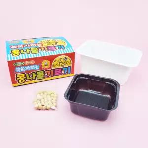 3000 쑥쑥 자라는 콩나물 기르기 키트 1개-콩나물키우기 세트