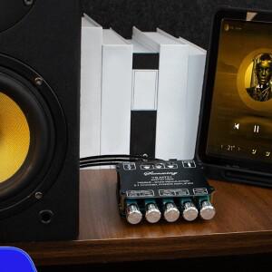YS-MT21 서브우퍼 오디오 수신기 BT5.0 디지털 파워 앰프 모듈 홈시어터 DIY 스피커용 스테레오