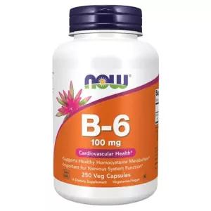 나우푸드 비타민 B6 100mg 100캡슐