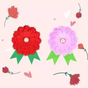diy 뱃지 diy 브로치 수공예 감사 펠트 가슴 핸드메이드 카네이션 스승의날 부모님 어버이