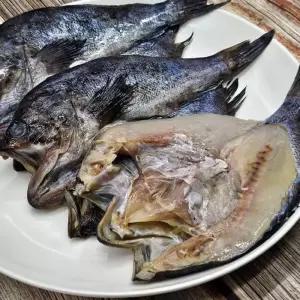 국산 반 건조 우럭 300g -350g 1미 자연산우럭 말린우럭 반 건우럭 손질우럭 냉동 우