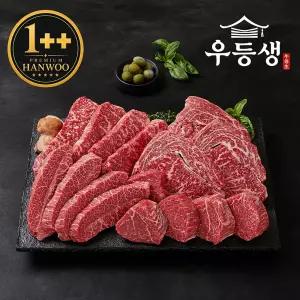 우등생 한우 소고기 1++등급 프리미엄 모둠 구이 세트 1kg(등심+안심+채끝+부채살)
