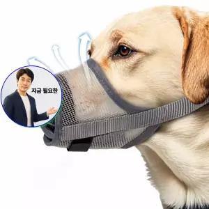 지금 필요한 외출 강아외출 훈련용품 메쉬 산책 강아 입마개 짖음방