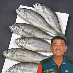[백순기굴비] 영광 법성포 참 굴비 대용량 지퍼백 추석 선물 세트 추천 20미 2호