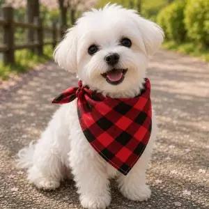 강아지 클래식 체크 스카프 1P 고양이 패션 반다나 넥케이프 패션 빕